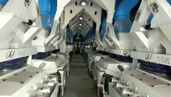 Clj High Efficient 50-1000t/D Complete Paddy Processing Line Rice Mill Machine