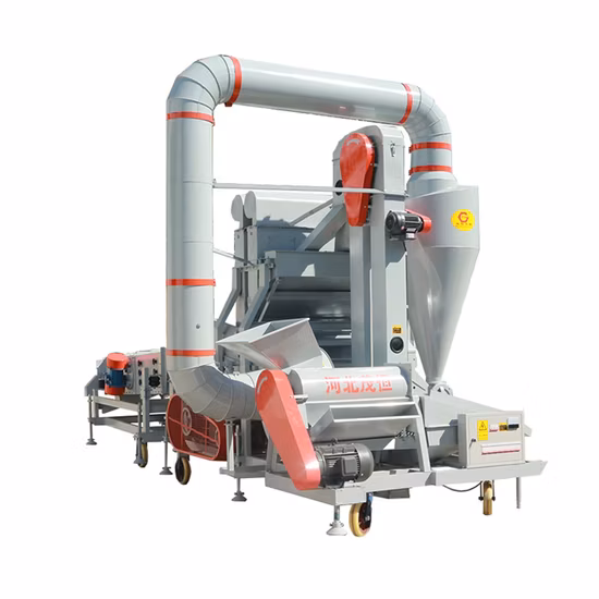 Seme del raccolto di grano De