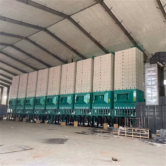 Essiccatore per mais con sistemi di essiccazione del grano a circolazione a bassa temperatura in vendita